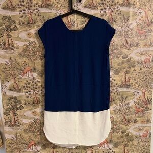 Madewell Navy and White Midi Dress